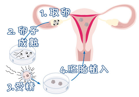 张明华 院长