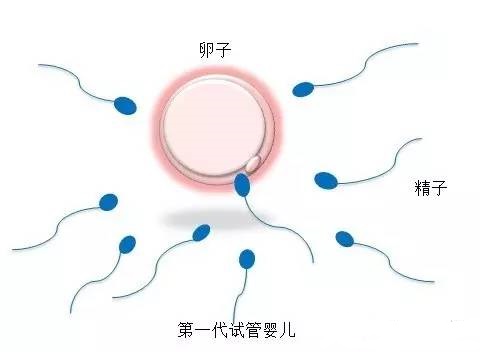 42岁高龄成功案例